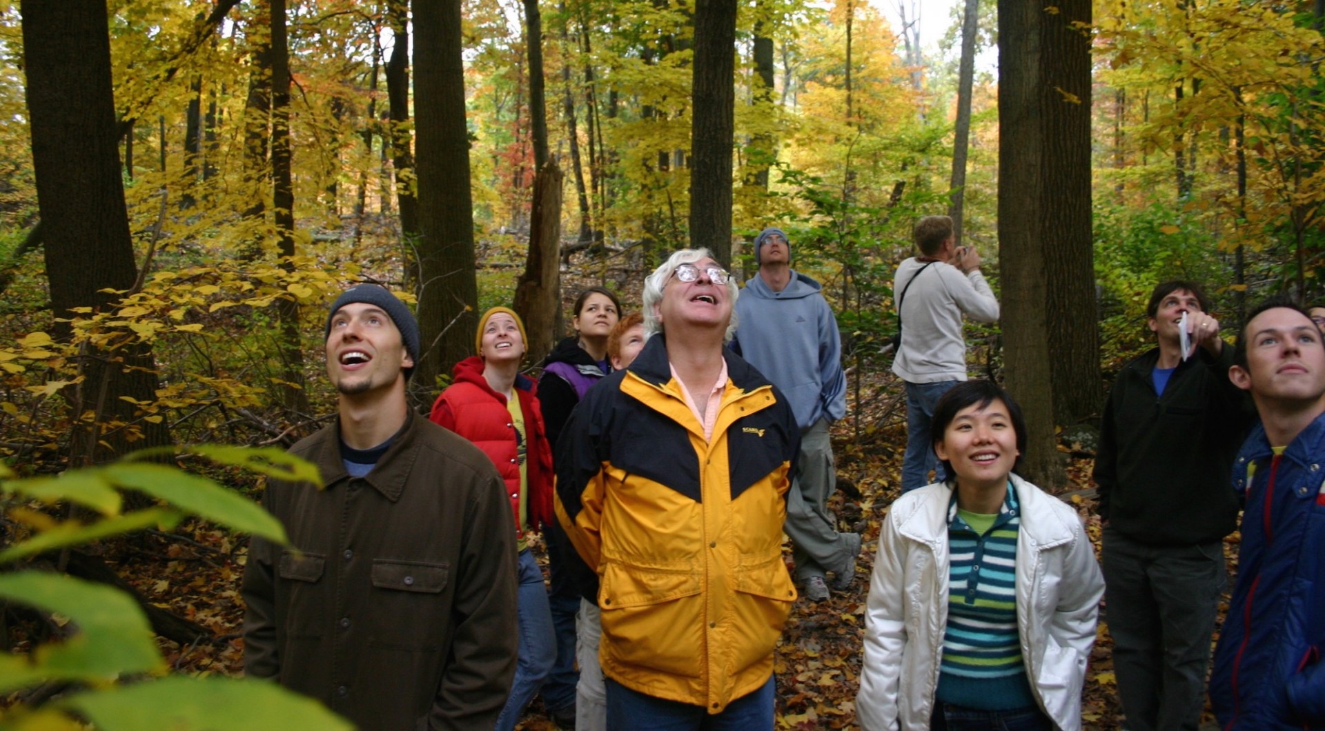 People in forest